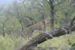 safrica_dec_13_image8.jpg